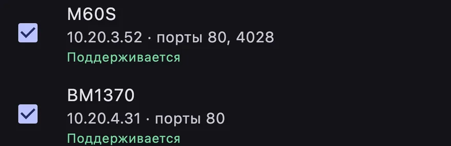Найдено сканированием сети: Whatsminer M60S и Bitaxe
